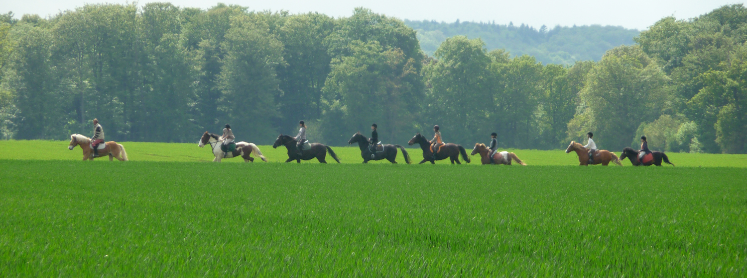 Les balades à cheval